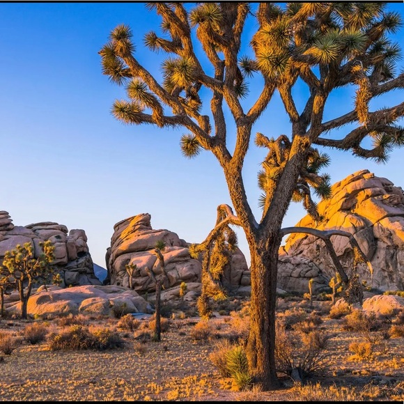 Meet your posher! - Picture 3 of 3